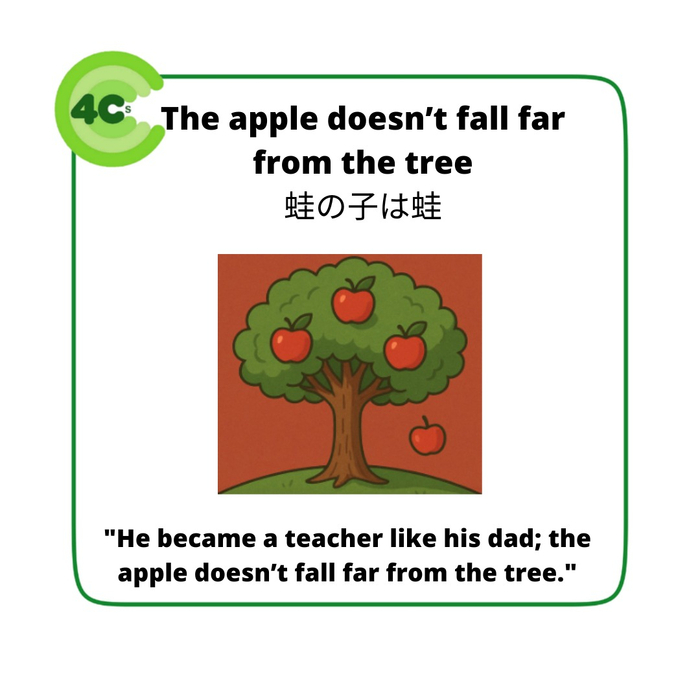 画像274