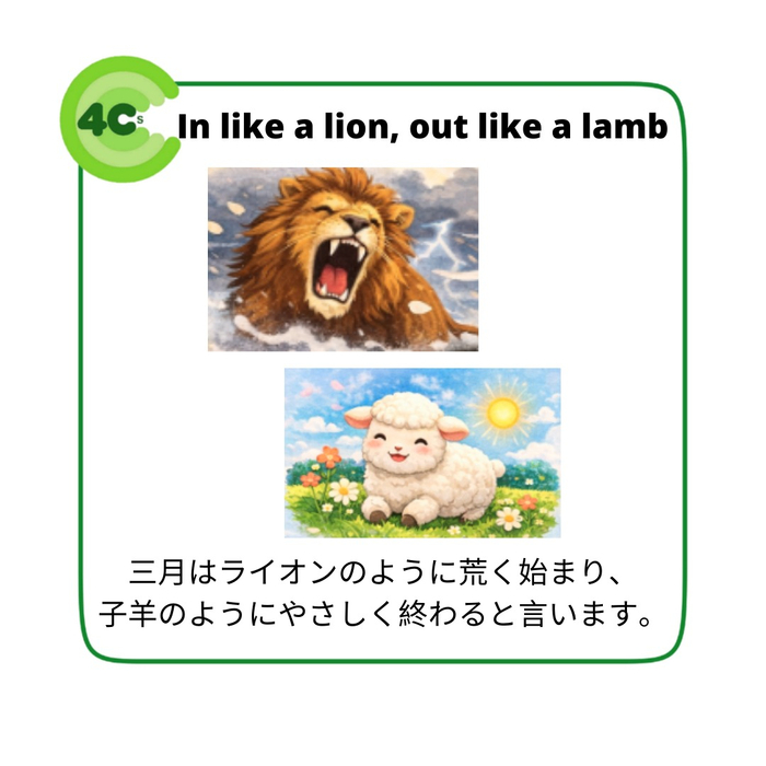 画像390