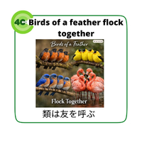 画像498